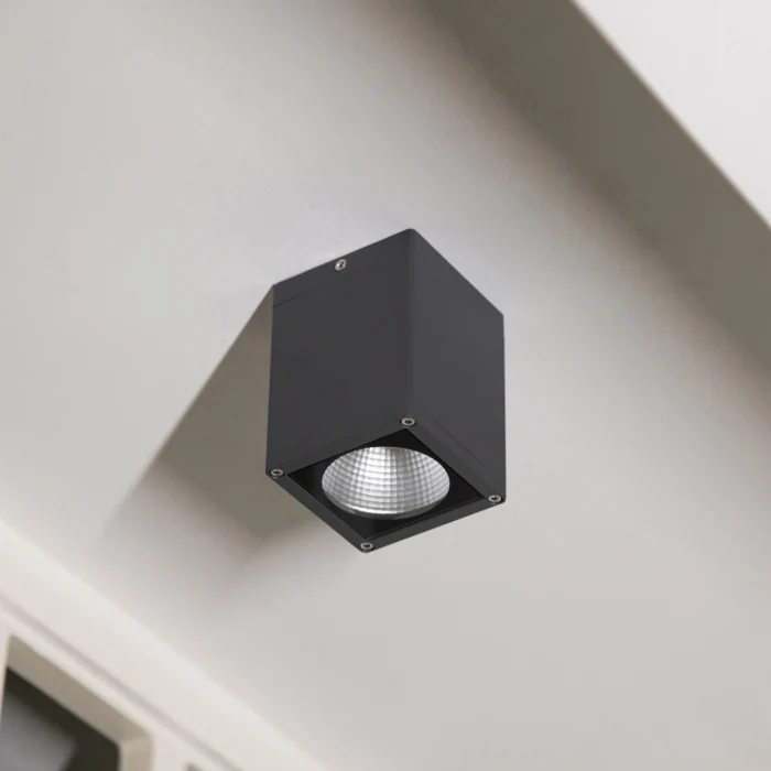 Потолочный фонарь Natural Concepts Dwell NC-133474-DG