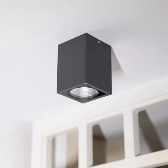 Потолочный фонарь Natural Concepts Dwell NC-133474-DG