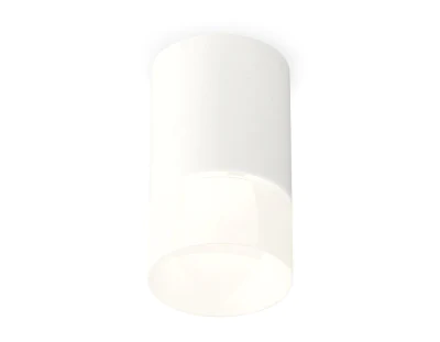 Комплект накладного светильника с акрилом Ambrella light XS7421025