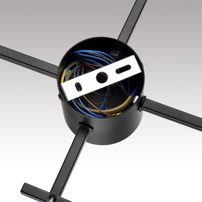 Накладная люстра Lumion Dabra 8186/8C