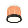 Комплект накладного светильника Ambrella light XS8122001