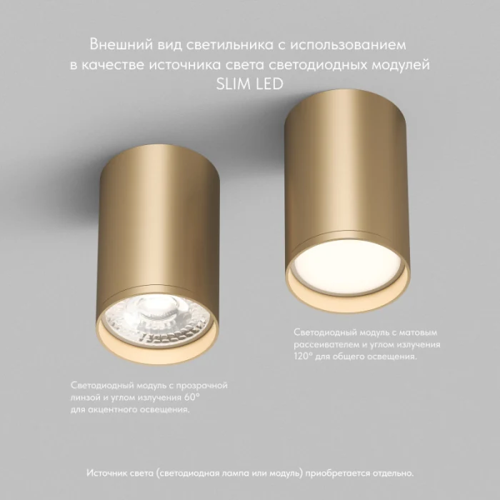 Накладной светильник Denkirs TUBE DK2050-SG