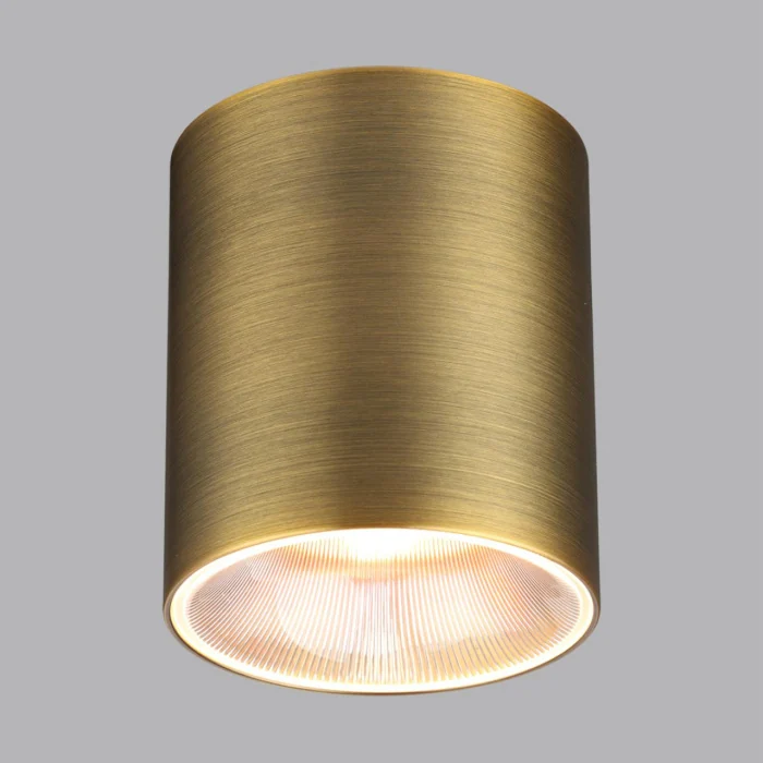 Потолочный светильник Odeon Light Brim 7137/12CL