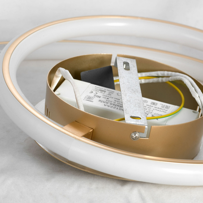 Светильник потолочный INGERSOLL LSP-8346