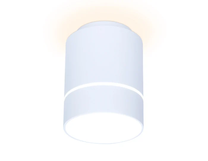 Накладной светодиодный точечный светильник Ambrella light TN256