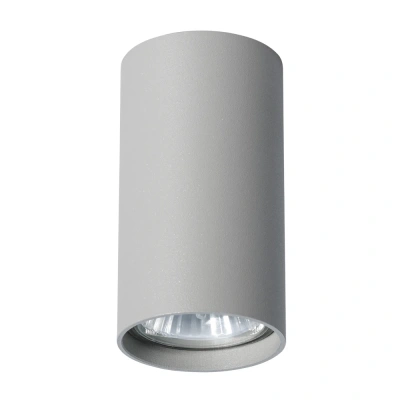 Потолочный светильник Arte Lamp A1516PL-1GY