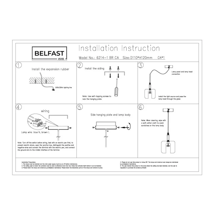 Светильник подвесной Belfast Pansy 6214-1 BR CA