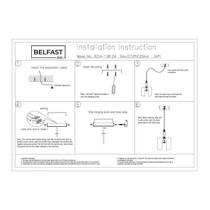 Светильник подвесной Belfast Pansy 6214-1 BR CA
