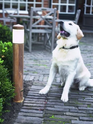 Royal Botania Фонарный столб Northpole teak NOR70