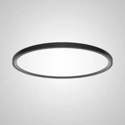 Потолочный светильник EXTRASLIM D80 Black ImperiumLoft