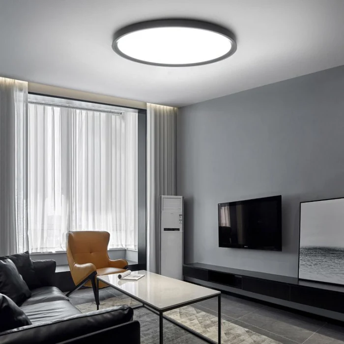 Потолочный светильник EXTRASLIM D80 Black ImperiumLoft