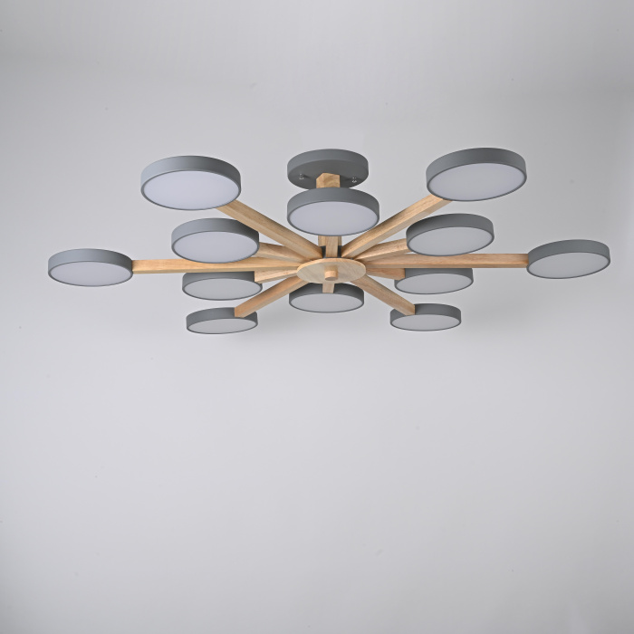 Потолочный светильник TURNA L12 Grey ImperiumLoft