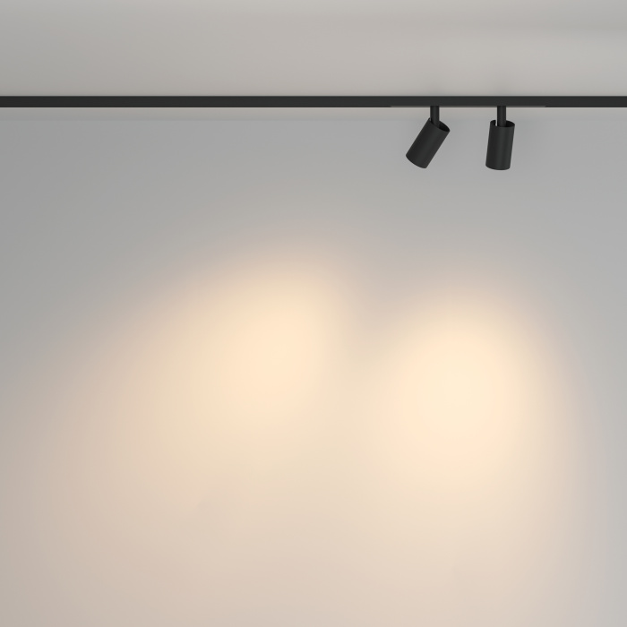 Трековый светильник Maytoni Focus Duo TR176-1-2X5WTW-M-B