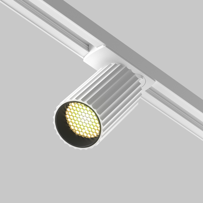 Трековый светильник Maytoni Calipso TR218-1-GU10-W