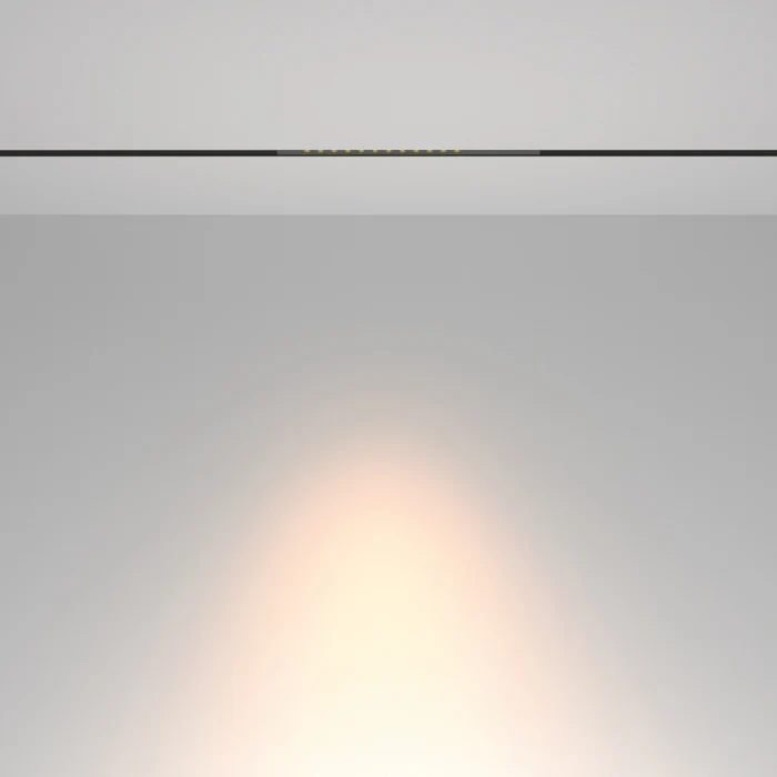 Трековый светильник Maytoni Points TR232-2-15W3K-B