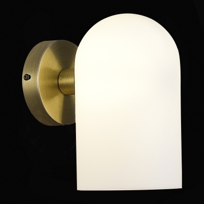 Настенный светильник evoluce NOBILIA SLE1047-301-01