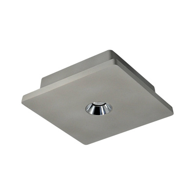 Потолочный светильник Loft it Architect OL1072-GH/1