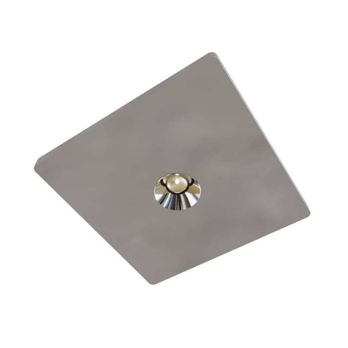 Потолочный светильник Loft it Architect OL1072-GH/1