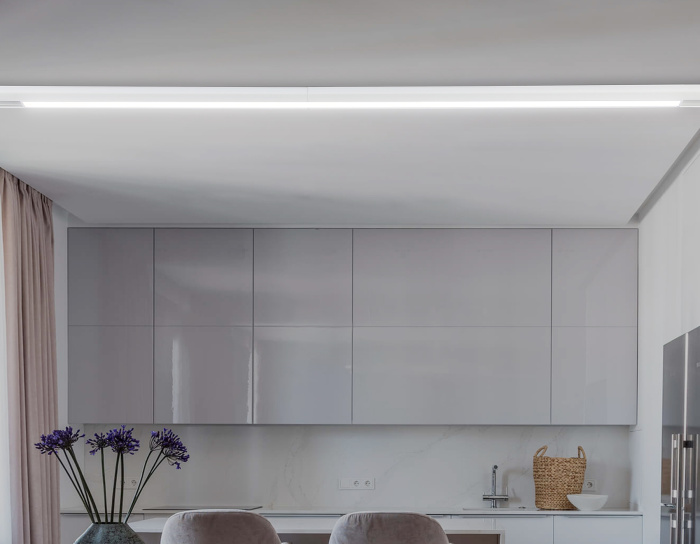 Светильник светодиодный трековый для шинопровода Magnetic Ambrella light GL4012