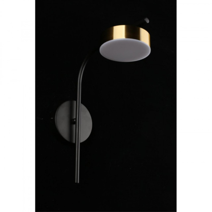 Светильник настенный Aployt Delayn APL.042.01.07