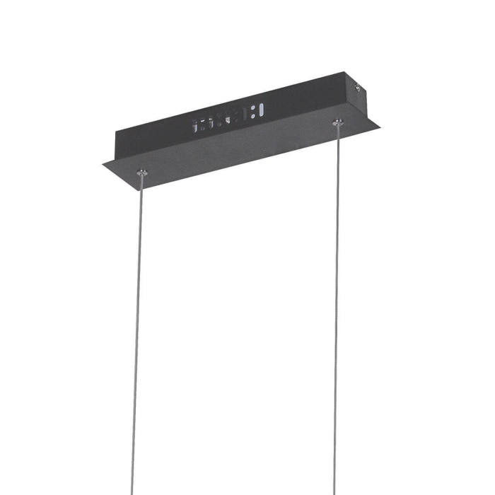 Подвесная светодиодная люстра Favourite Carcass 2382-14P