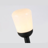 Уличный ландшафтный светильник Ambrella light ST2087