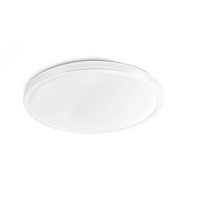 Потолочный светильник AMI LED  ceiling lamp