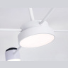 Потолочный светодиодный светильник с пультом Ambrella light FL51631