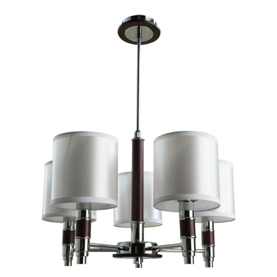 Люстра подвесная Arte Lamp CIRCOLO A9519LM-5BR