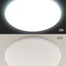 Светильник потолочный Citilux Симпла CL714900G