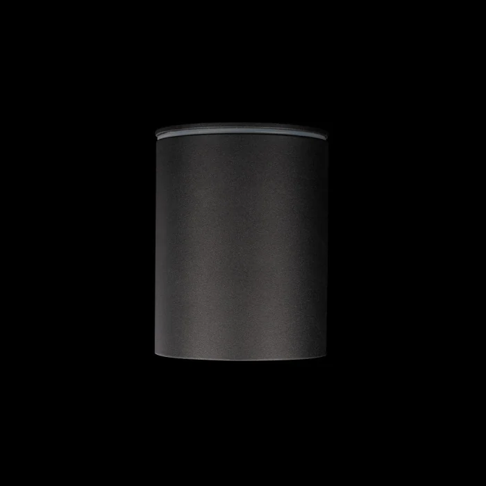 Накладной светильник LOFT IT Rush 10344 Black