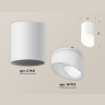 Комплект накладного светильника с акрилом Ambrella light XS7421026