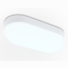 Светильник светодиодный влагозащищенный Ambrella light ST8655
