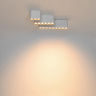 Люстра потолочная Odeon Light Small 7091/21CL