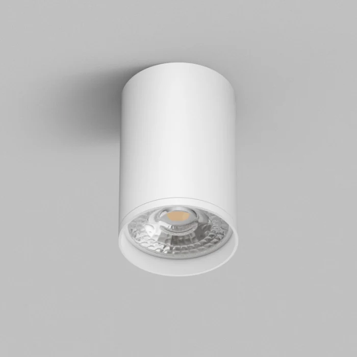 Накладной светильник Denkirs TUBE DK2050-WH