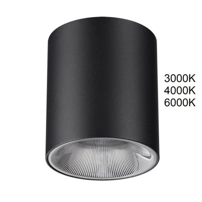 Потолочный светильник Odeon Light Brim 7138/12CL