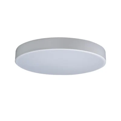 Светильник потолочный Loft it Axel 10002/24 White