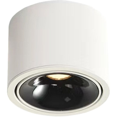 Светильник точечный накладной ALTAIR WERTMARK TECHNICAL WTA.O06.067.30.07