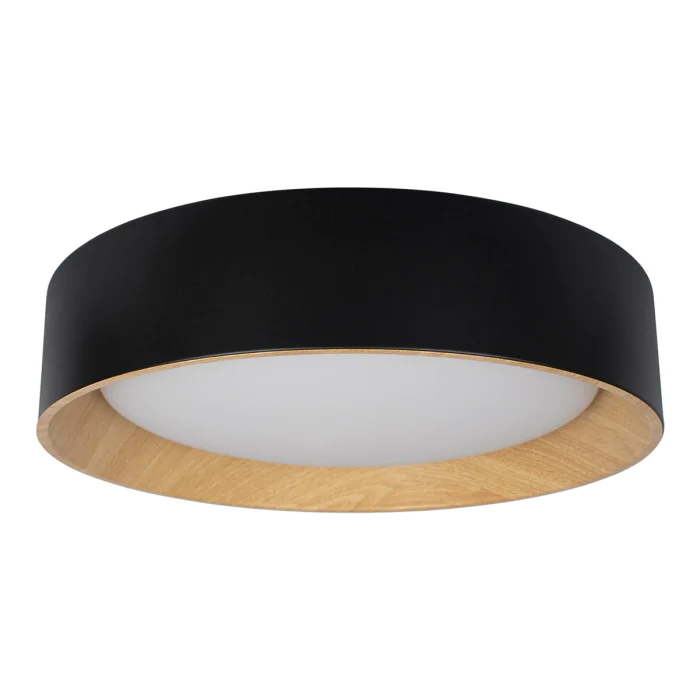 Потолочный светильник Coin 10202 Black LOFT IT