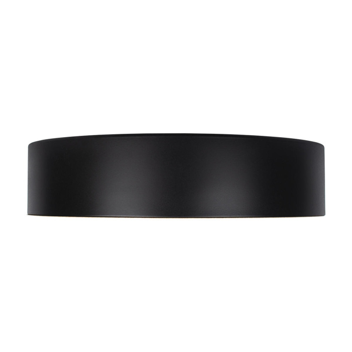 Потолочный светильник Coin 10202 Black LOFT IT