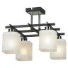 Потолочный светильник Lussole Costanzo LSL-9007-04