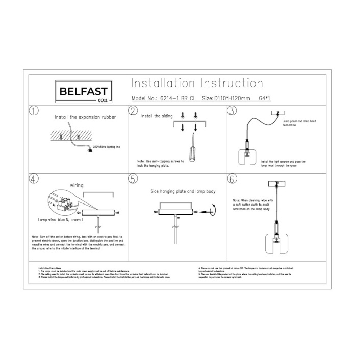 Светильник подвесной Belfast Pansy 6214-1 BR CL