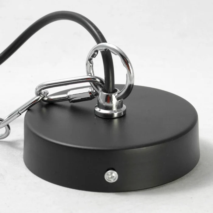 Светильник подвесной Lussole Ketchikan GRLSP-8029