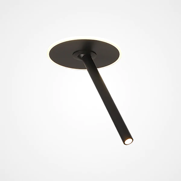 Потолочный светильник FIND Black ImperiumLoft