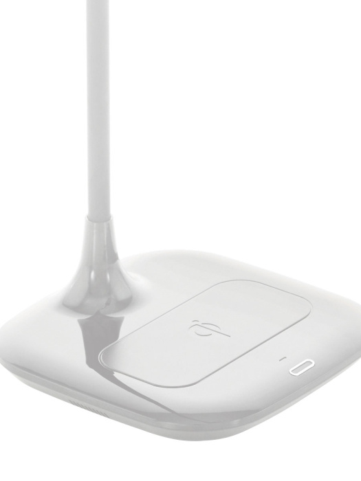 Настольная лампа EGLO MASSERIE 98247