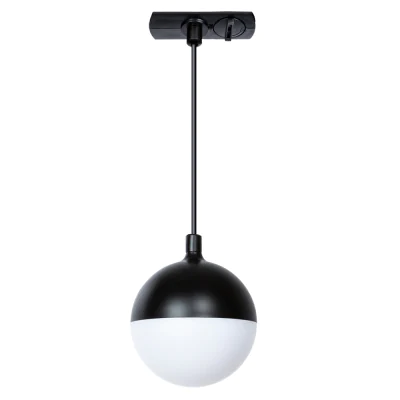 Трековый светильник однофазный Arte Lamp VIRGO A4564PL-1BK