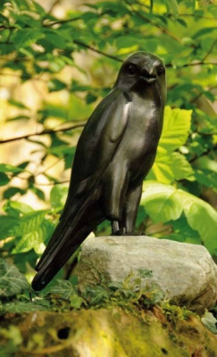 Сокол Robers B 8665