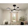 Потолочный светодиодный светильник с пультом Ambrella light FL51632