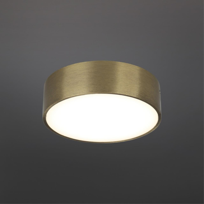 Светильник настенно-потолочный Aployt Evon APL.0114.29.12