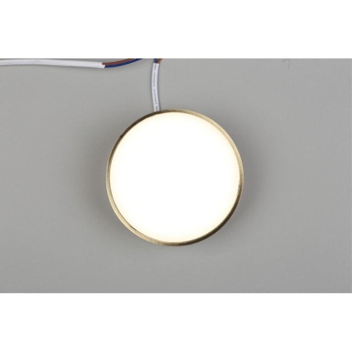 Светильник настенно-потолочный Aployt Evon APL.0114.29.12